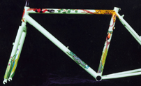 rainforest themed custom bicycle art